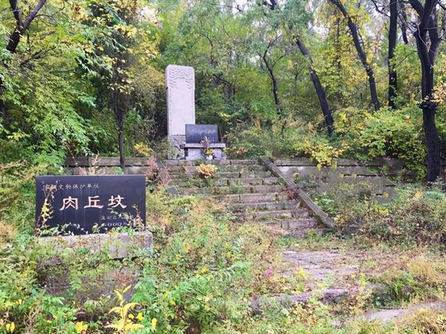  孙兴慜双响难救热刺败局  